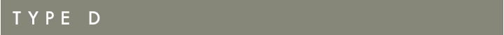 タイプD
